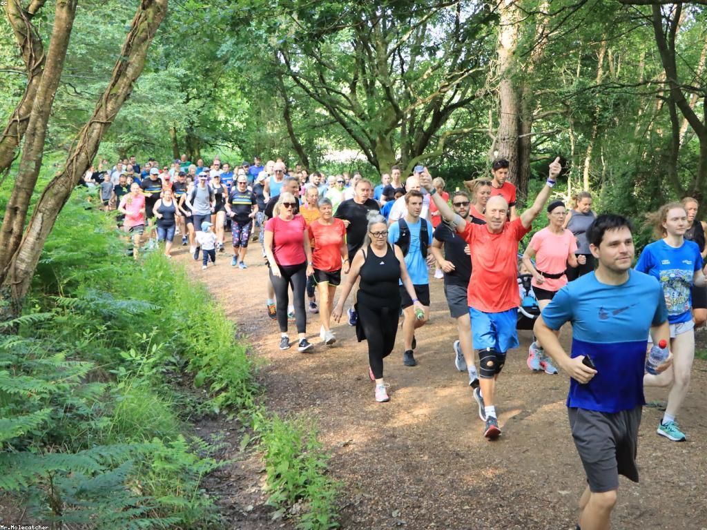 សំណួរញឹកញាប់អំពីសុខភាព